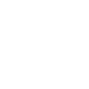 WCL Helmets